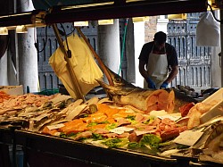 The catch of the day at the Rialto fish market